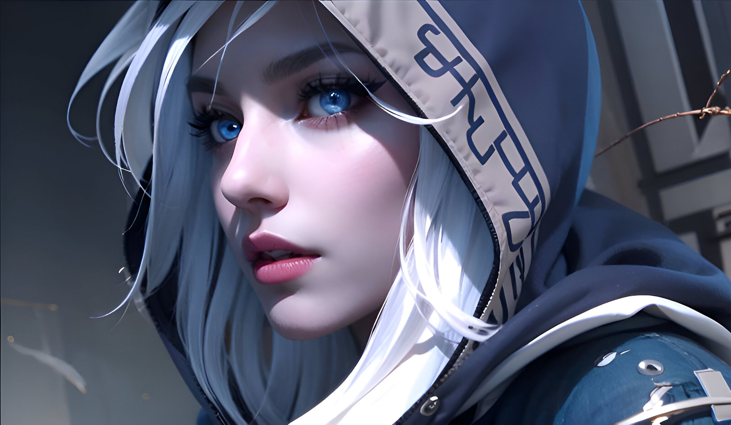 我们的注册 我们的注册