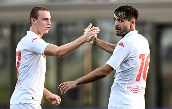 第一只先锋 第一只先锋